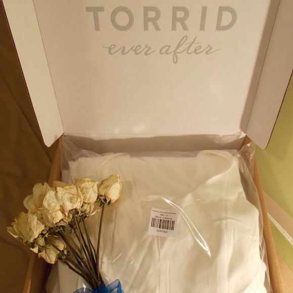 NWT Torrid IVORY JACQUARD SWEETHEART WEDDING GOWN Sz 10W - Picture 13 of 15